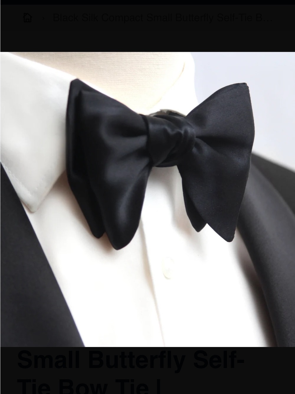 Black Silk Compact Small Butterfly Self-Tie Bow Tie | Camellucci